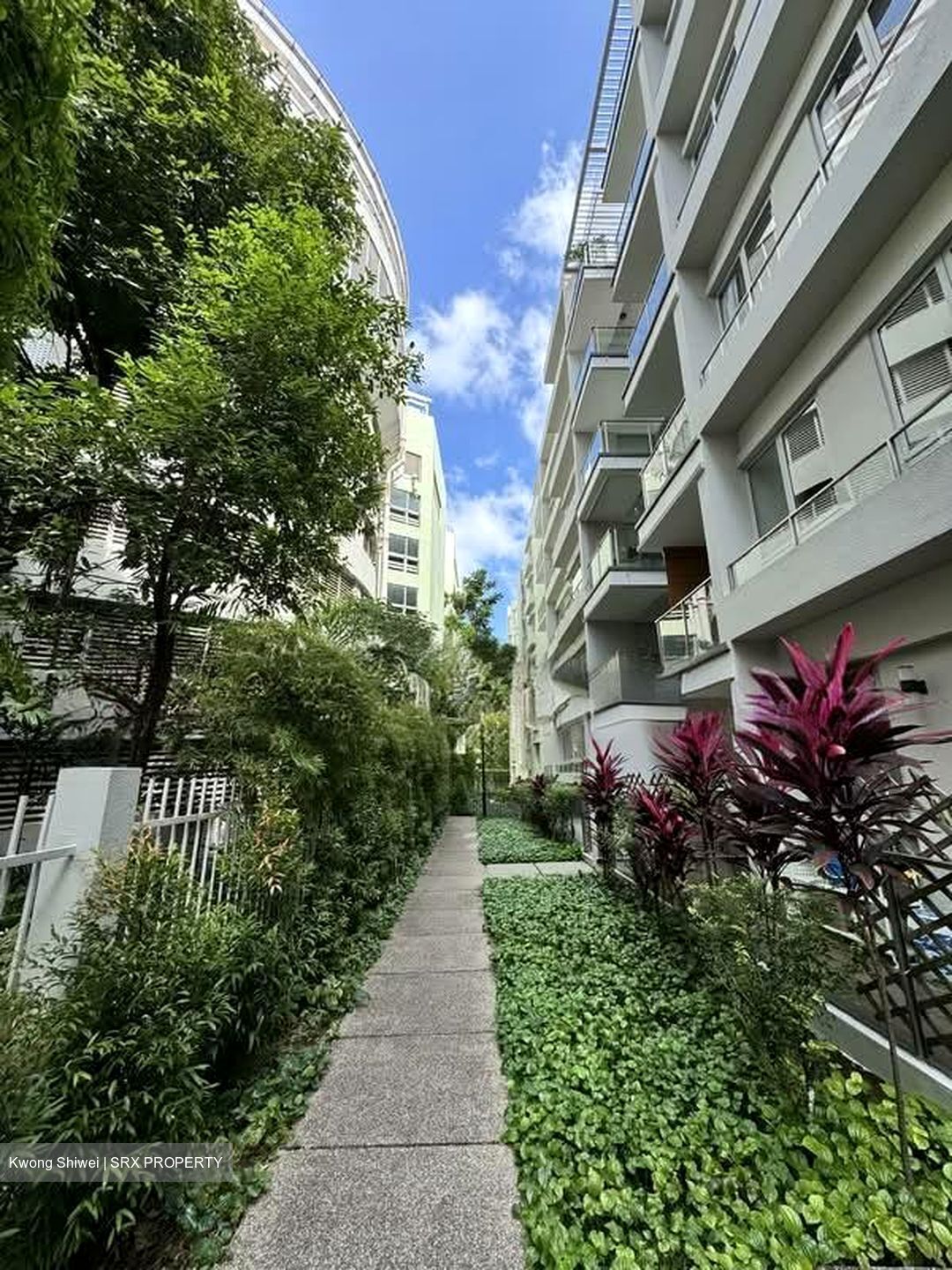 8 @ Mount Sophia (D9), Condominium #543597011